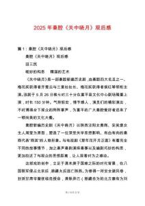 2025年秦腔《關中曉月》觀后感