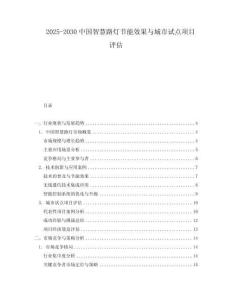 2025-2030中國(guó)智慧路燈節(jié)能效果與城市試點(diǎn)項(xiàng)目評(píng)估