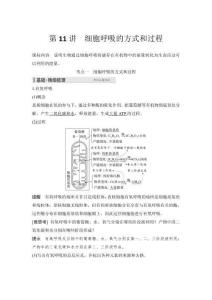 2026高中生物練習(xí)（含解析）第2單元  第11講　細(xì)胞呼吸的方式和過程