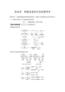 2026高中生物練習(xí)（含解析）第1單元  第4講　核酸是遺傳信息的攜帶者