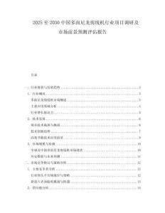 2025至2030中國多面尼龍剪線機行業項目調研及市場前景預測評估報告
