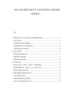 2025-2030燃料電池汽車示范運營效果與基礎設施配套報告