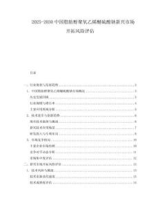 2025-2030中國脂肪醇聚氧乙烯醚硫酸鈉新興市場開拓風(fēng)險評估
