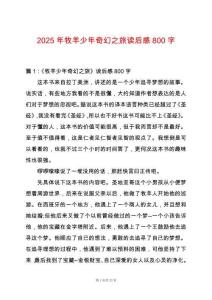 2025年牧羊少年奇幻之旅讀后感800字