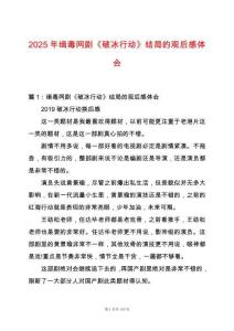2025年緝毒網劇《破冰行動》結局的觀后感體會