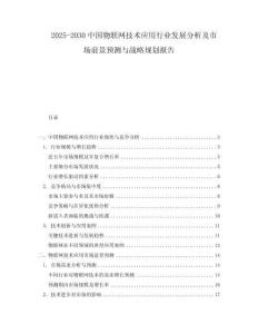 2025-2030中國物聯(lián)網(wǎng)技術應用行業(yè)發(fā)展分析及市場前景預測與戰(zhàn)略規(guī)劃報告