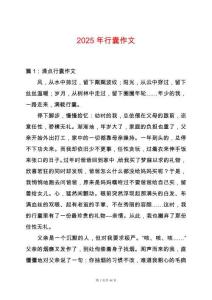 2025年行囊作文
