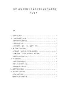 2025-2030中國工業(yè)級無人機巡檢解決方案成熟度評估報告