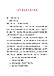 2025年財務(wù)工作的不足