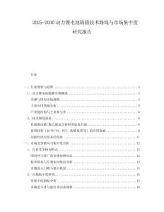2025-2030動力鋰電池隔膜技術路線與市場集中度研究報告