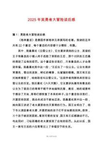 2025年英勇者大冒險讀后感