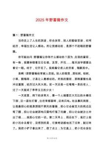 2025年野薔薇作文