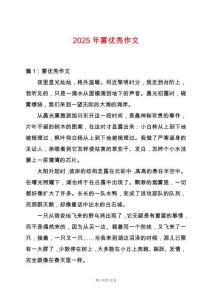 2025年霧優(yōu)秀作文