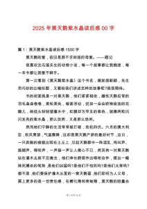 2025年黑天鵝紫水晶讀后感00字