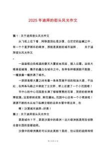 2025年迪拜的街頭風(fēng)光作文