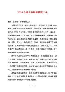 2025年迪比特銷售管理之失