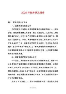 2025年財務狀況報告