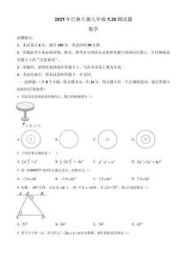 內(nèi)蒙古赤峰市巴林左旗2024-2025學年九年級下學期模擬檢測數(shù)學試題（含答案）
