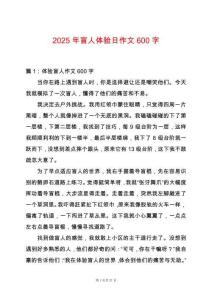 2025年盲人體驗(yàn)日作文600字