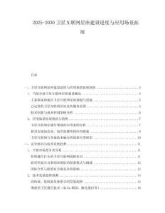 2025-2030衛星互聯網星座建設進度與應用場景拓展