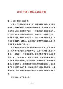 2025年淵子崖保衛戰觀后感