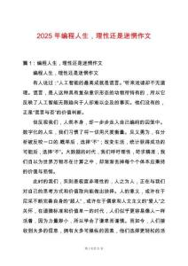 2025年編程人生，理性還是迷惘作文