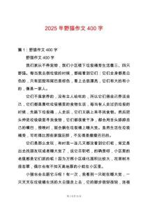 2025年野貓作文400字