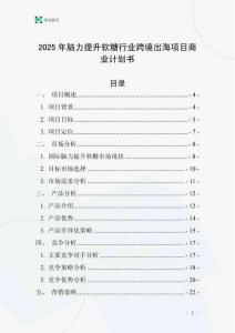 2025年腦力提升軟糖行業跨境出海項目商業計劃書