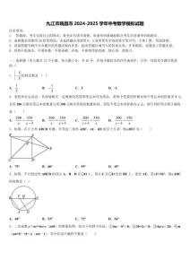 九江市瑞昌市2024-2025學年中考數學模擬試題含解析