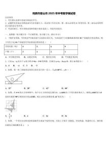 雞西市密山市2025年中考數學模試卷含解析