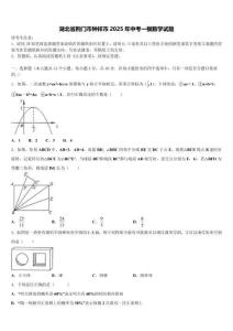 湖北省荊門市鐘祥市2025年中考一模數學試題含解析