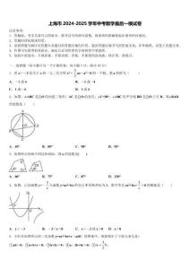 上海市2024-2025學年中考數學最后一模試卷含解析