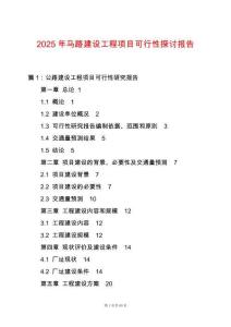 2025年馬路建設工程項目可行性探討報告