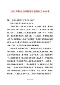 2025年膽戰(zhàn)心驚的那個夜晚作文650字