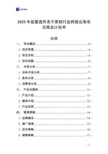 2025年能量提升凍干果糕行業(yè)跨境出海項(xiàng)目商業(yè)計(jì)劃書