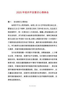2025年校內平安意識心得體會