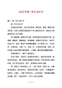 2025年髙一作文800字