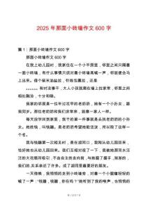2025年那面小磚墻作文600字