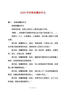 2025年柯南我懂你作文