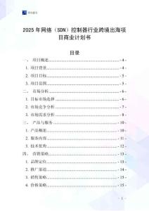 2025年網(wǎng)絡(luò)（SDN）控制器行業(yè)跨境出海項(xiàng)目商業(yè)計(jì)劃書