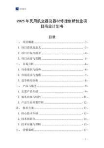 2025年民用航空器及器材修理創(chuàng)新創(chuàng)業(yè)項(xiàng)目商業(yè)計(jì)劃書(shū)
