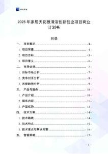 2025年家居天花板清潔創(chuàng)新創(chuàng)業(yè)項(xiàng)目商業(yè)計(jì)劃書