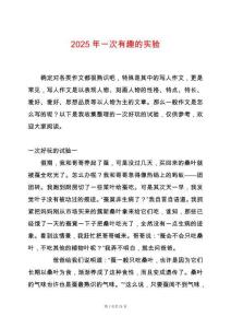 2025年一次有趣的實驗