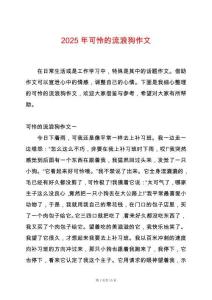 2025年可憐的流浪狗作文