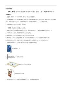 2024-2025學(xué)年湖南省岳陽市平江縣八年級(jí)（下）期末物理試卷（含解析）