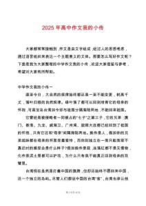 2025年高中作文我的小傳