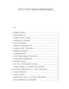 2025年中國中號圓盤市場調(diào)查研究報(bào)告
