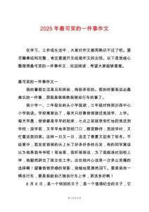 2025年最可笑的一件事作文