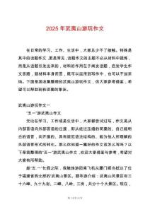 2025年武夷山游玩作文