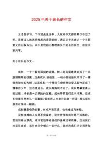 2025年關于班長的作文